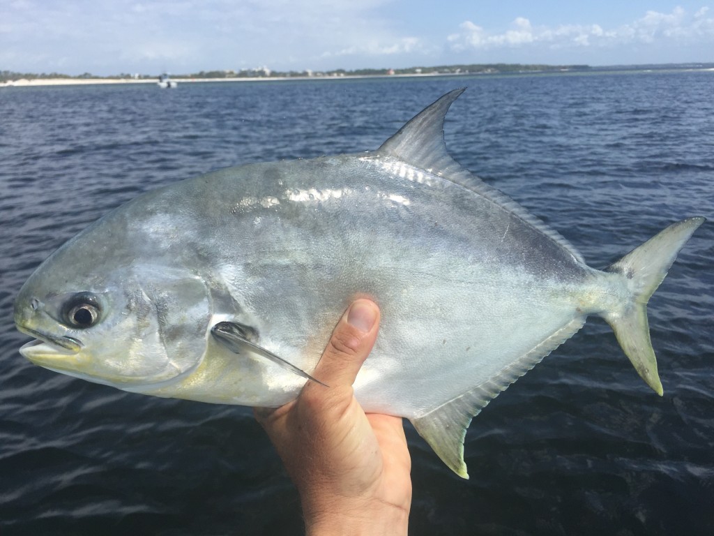 Pomps | Shallow Water Expeditions