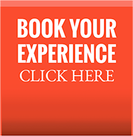 Book Your Experience