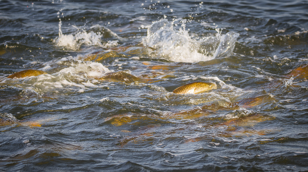 December Cold Front Shallow Water Expeditions