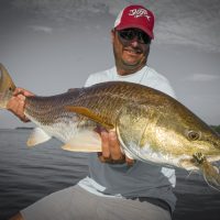 bull red caught on an Umpqua Poledancer fly in the choctawhatchee bay in south Walton Florida
