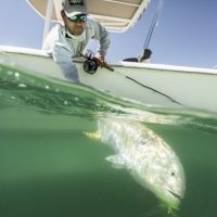 Destin fly fishing | Shallow Water Expeditions