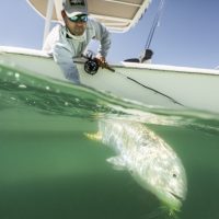 captain Kyle Pitts landing a jack on his tidewater boat along the beach off rosemary beach Florida