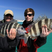 double sherries for the boys double sherries for the boys, sheepshead double