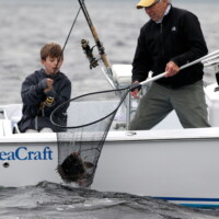 young angler enjoys the moment of catch with a sheepshead to the net in captains Jeffs Seacraft young angler enjoys the moment of catch with a sheepshead to the net in captains Jeffs Seacraft