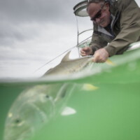 Leigh perkins founder of ORVIS releases a jack crevelle with captain David Mangum in his Hellsbay marquesa Leigh perkins founder of ORVIS releases a jack crevelle with captain David Mangum in his Hellsbay marquesa