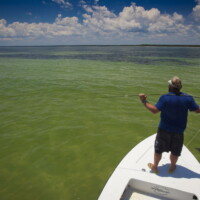 tarpon waiting game off Alligator Point Florida with David Mangum tarpon waiting game off Alligator Point Florida with David Mangum, bear Holeman waits
