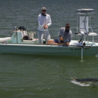 Steve Hemkenss pulls on a tarpon trying to bring to guide David magnums hand Steve Hemkenss pulls on a tarpon trying to bring to guide David magnums hand, hemkenss poon fight