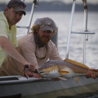Panama City beach redfish Panama City beach redfish