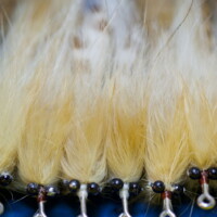 tan tarpon flies on display tan tarpon flies on display, tarpon flies up close