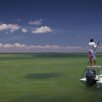 waiting on Hellsbay marquesa off Carrabelle Florida David Mangum waiting on Hellsbay marquesa off Carrabelle Florida David Mangum, staked out and waiting for the tarpon