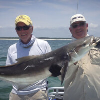captain Jeff with a cobia on fly captain Jeff with a cobia on fly