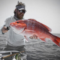 giant red snapper on fly for captain Jason giant red snapper on fly for captain Jason