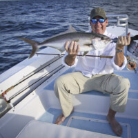 amberjack are a great species to target on fly amberjack are a great species to target on fly